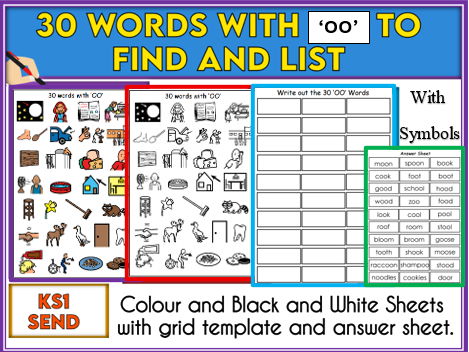 30 Words with 'OO' Activity KS1 and SEND