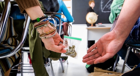 cannabis in school