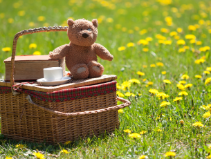 End-of-year activities for EYFS